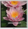 /album/photo-gallery-canvas-uri/decoratiuni-de-perete-canvas-lc-0474-jpg/